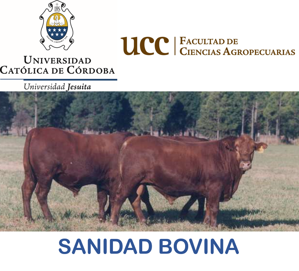 Sanidad Bovina